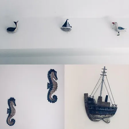 Playa Y Diseno En 塞代拉